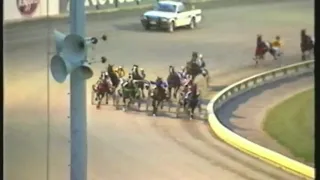 1989 Dominion Handicap - Tobago