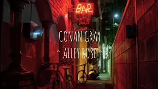 Alley Rose - Conan Gray (tradução/legendado)
