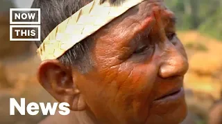 Indigenous People Speak Out Against Amazon Wildfires | NowThis