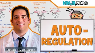 Renal | Autoregulation (Updated)