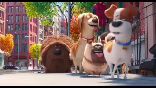 Тайная жизнь домашних животных/The Secret Life of Pets 2016 [Русский трейлер HD]