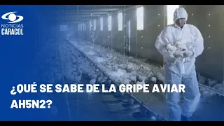 ¿Qué se sabe del primer caso de muerte humana por gripe aviar AH5N2 en México?