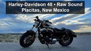 Harley-Davidson 48 • Raw Sound • Placitas • New Mexico • #5