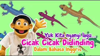 CICAK CICAK DI DINDING (BAHASA INGGRIS) LIZARD ON THE WALL SONG