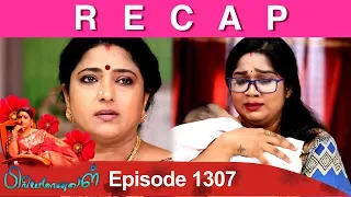RECAP : Priyamanaval Episode 1307, 02/05/19