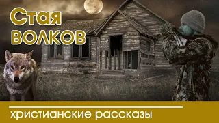 христианский рассказ 《Стая валков》¡!?¿♡