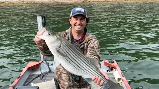 Striper Fishing on Lake Whitney