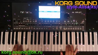 Андрей Державин-Не плачь Алиса KORG PA600