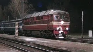 Тепловозы ТЭП70-0237, 0217 и 2ТЭ116-597 на ст. Нарва / TEP70-0237, 0217 and 2TE116-597 at Narva