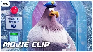 The Angry Birds Movie 2 Movie Clip "Key Card" (2019) HD | Mixfinity International