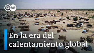 Cómo contrarrestar la crisis climática | DW Documental