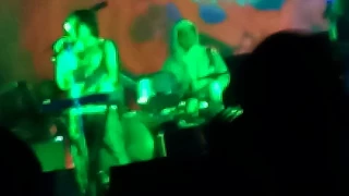 Ariel Pink - Time To Live live at desert daze festival 2017