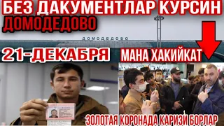 БЕЗ ДАКУМЕНТЛАР ПРОБЛЕМ? РЕЙС УЧАЯПТИМИ ?ЗОЛОТАЯ КОРОНА КАРИЗИ БОРЛАР#bahodirjon #moscow #domodedovo