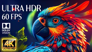 4K HDR 60fps Dolby Vision with Animal Sounds & Peaceful Music (Colorful Dynamic)