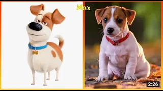 The Secret Life of Pets 2 Characters In Real Life FUNNYDOG