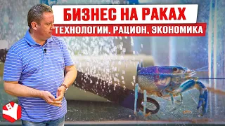 Как работает акваферма? | Выращивание и продажа раков | Бизнес идеи