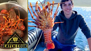 Catching crayfish with a ring net (west coast rock lobster) catch cook