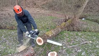 Testing The Holzfforma G660 PRO (Stihl MS 660 clone) First start 90 cm Semi Chisel