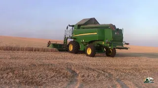 Грозы приближаются а мв продолжаем уборку пшеницы на двух комбайнах John Deere и Fendt