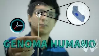 Descubriendo el Genoma Humano ft. En 1 Minuto