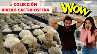 Tour COLECCIÓN vivero de cactus con más de 25 años 😱😱😱😱😱