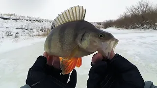 ОГО, КАКИЕ ОКУНИ ТУТ ЖИВУТ! Рыбалка на безмотылку, ловля со льда на мормышку