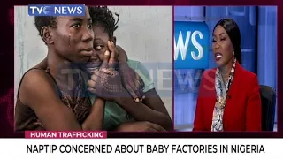 NAPTIP is embarking on massive awareness campaign against Baby Factory - Julie Okah-Donli