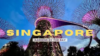 Singapore Part 2: Exploring Gardens by the Bay | Cloud Forest | Flower Dome | Supertree Light Show