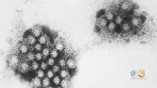 How to protect yourself from norovirus