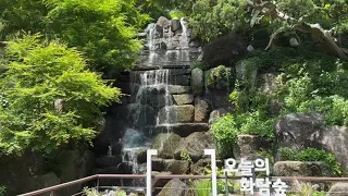 화담숲 240521