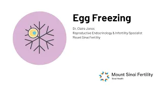 Egg Freezing at Mount Sinai Fertility