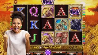 Cats Slot Review