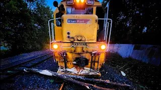 Train v Tree - Christchurch - New Zealand - Drone footage