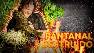 SUCURI AMARELA, A RAINHA DO PANTANAL! | RICHARD RASMUSSEN