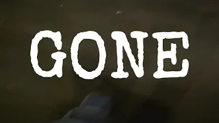Steve Jinski ...  'Gone' Official Video
