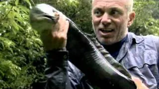 River Monsters: Season 3 Trailer*