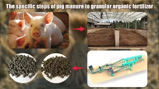 The specific steps of pig manure to granular organic fertilizer