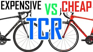 EXPENSIVE TCR VS CHEAP TCR - GIANT BIKES