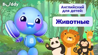 Животные на английском | Учим английские слова с Бадди | Buddy.ai | Английский для детей