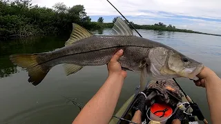 Fishing at Gandy tampa bay