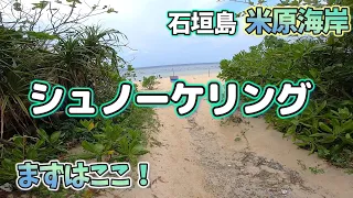 石垣島 米原ビーチでシュノーケリング！まずはここから…超おすすめ!!