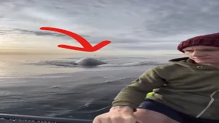 Heart-Stopping Moment: 😨😨Couple in Canoe Surrounded by Whales!