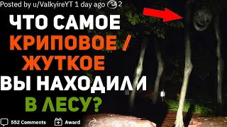 ЧТО САМОЕ КРИПОВОЕ / ЖУТКОЕ ВЫ НАХОДИЛИ В ЛЕСУ? 🌲