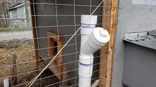 Installed automatic chicken water and feeder