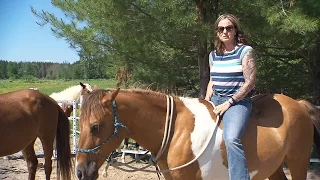 War Horse: Equine assistance therapy helps vets with PTSD