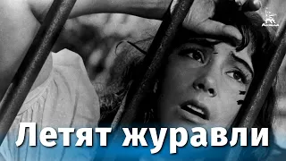 Летят журавли (FullHD, драма, реж. Михаил Калатозов, 1957 г.)