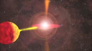 What Happens when a Neutron Star meets Black Hole