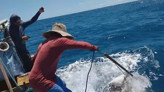 MARÉ  BOA DE PEIXES GRANDES COM PESCADORES EM AÇÃO JANGADA