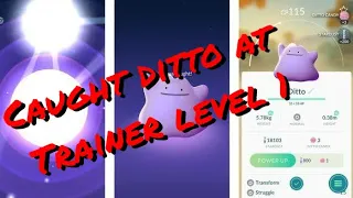 Caught a ditto with lowest trainer level