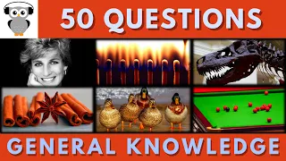 General Knowledge Quiz Trivia #37 | Princess Diana, Matches, T-Rex, Cinnamon, Duck Eyelids, Snooker